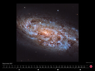 September - The Stellar Forge: NGC 1792