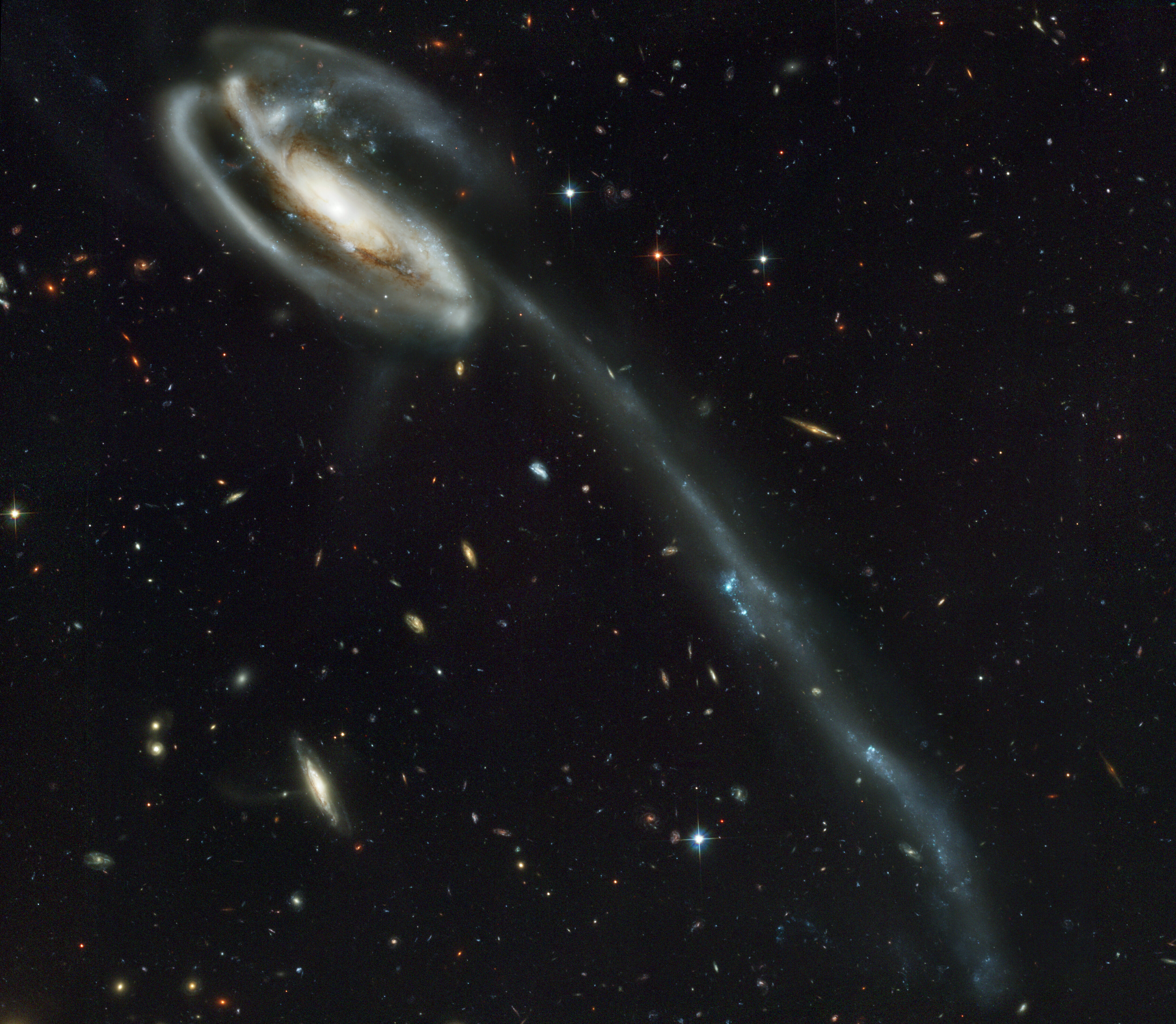 Tadpole Galaxy (UGC 10214)