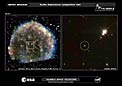 Hubble views suspected stellar survivor from 1572 A.D. supernova explosion