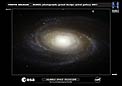 Hubble photographs grand design spiral galaxy M81