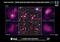 Hubble maps dark matter web in a large galaxy cluster