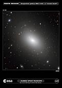 The gargantuan galaxy NGC 1132