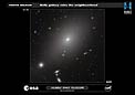 ACS image of ESO 306-17