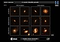 Selected galaxies from the COSMOS survey