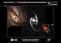 Central Bulges of Spiral Galaxies (Hubble and Ground-Based Views)