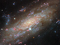 Starry spiral in a familiar neighbourhood