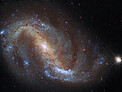 Hubble Goes Galactic Birdwatching