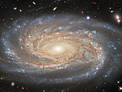 Investigating A Made-to-Measure Galaxy