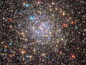 Stargazing in NGC 6355