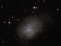 A sparkling galactic neighbour