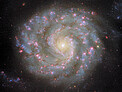 Face to face with a spiral’s arms