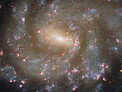 Starry spectacle