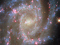 Noteworthy nearby spiral