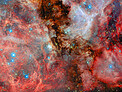 A neighbouring vista of stellar birth