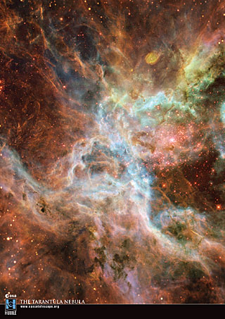 Postcard07: The Tarantula Nebula