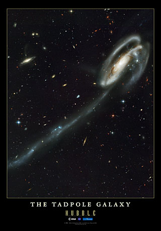 Tadpole Galaxy