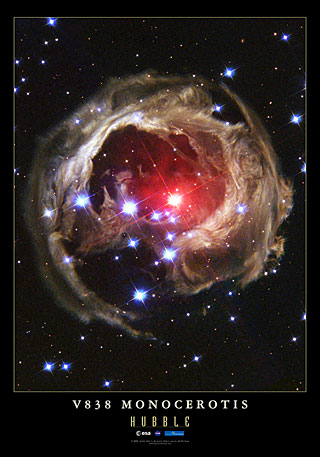 The peculiar star V838 Monocerotis