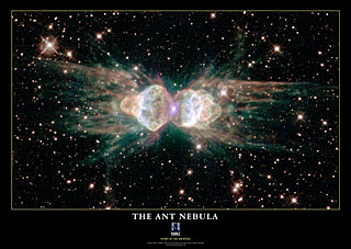 The Ant Nebula