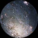 NGC 2403, SN 2004dj