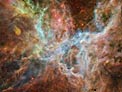 Panning on the Tarantula Nebula