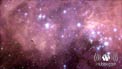 Hubblecast 37: Bubbles and baby stars