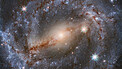 A Dazzling Hubble Collection of Supernova Host Galaxies