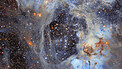 Pan video: LHA120-N44