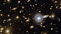 A Menagerie of Galaxies