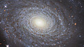 The Eponymous NGC 691