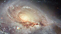 Pan video: Arp 184