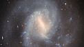 Pan: IC 758